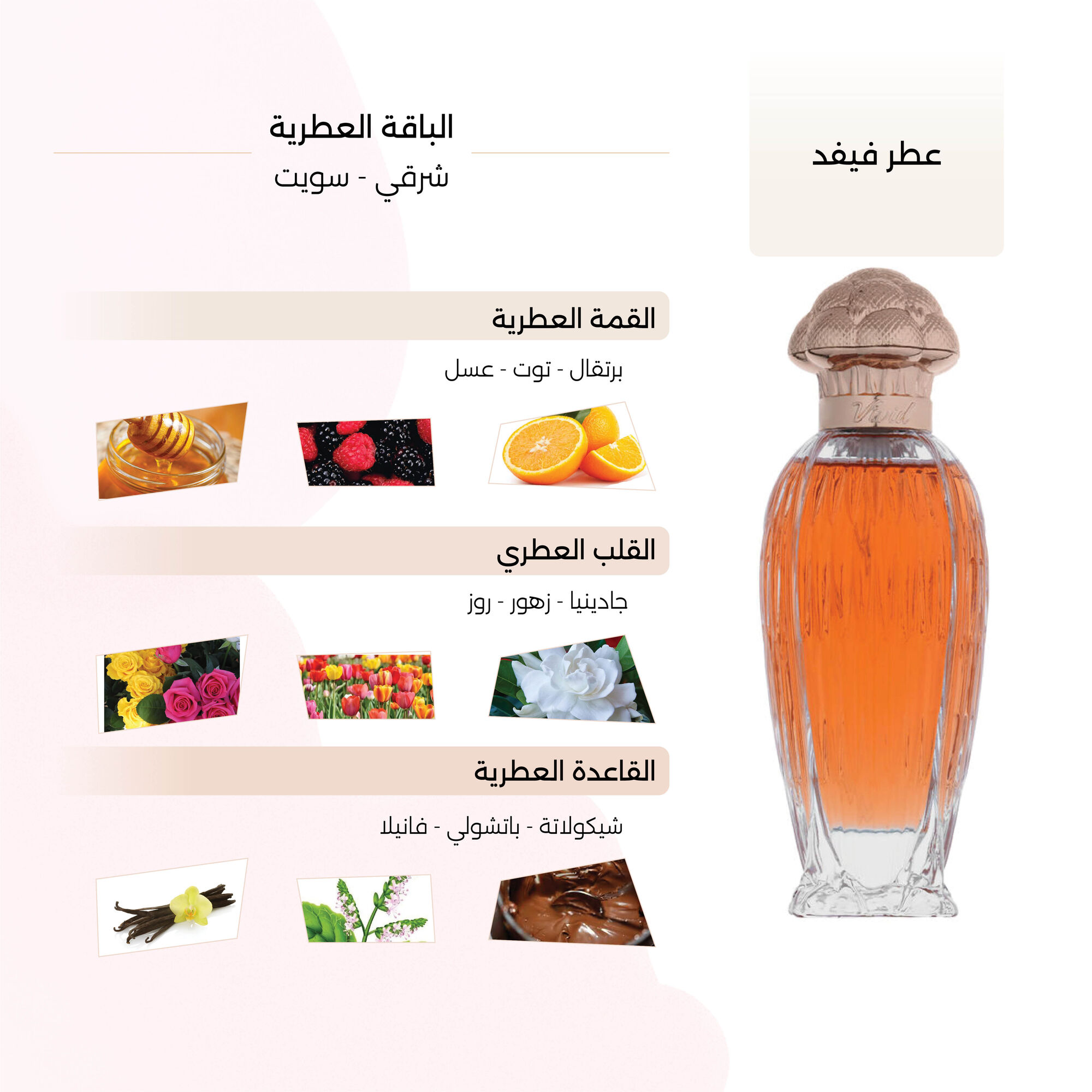 Vivid Perfume for women by Gingle