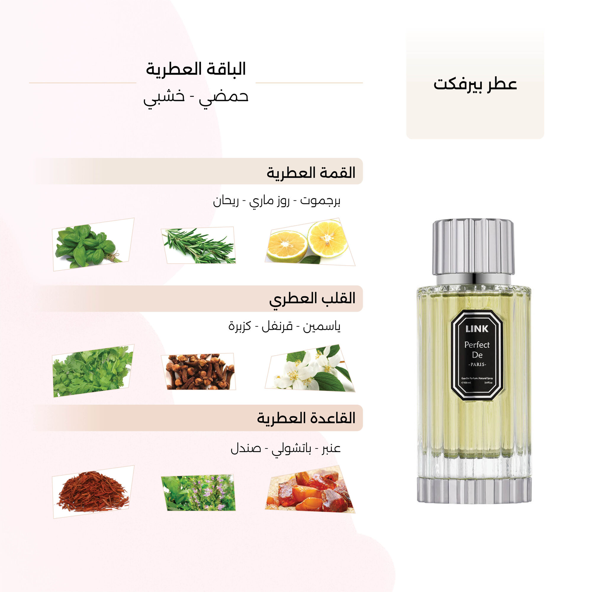 Perfect Eau de Parfum 100 ml