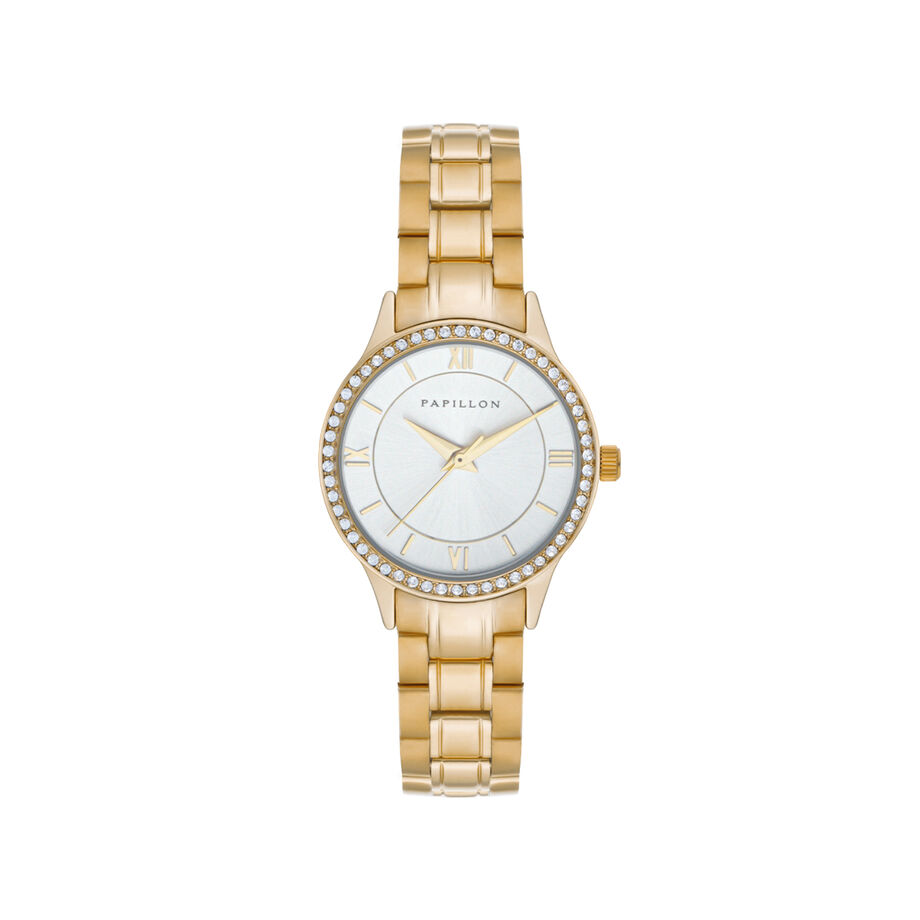 Papillon watch HZ (PL1704-D) + box