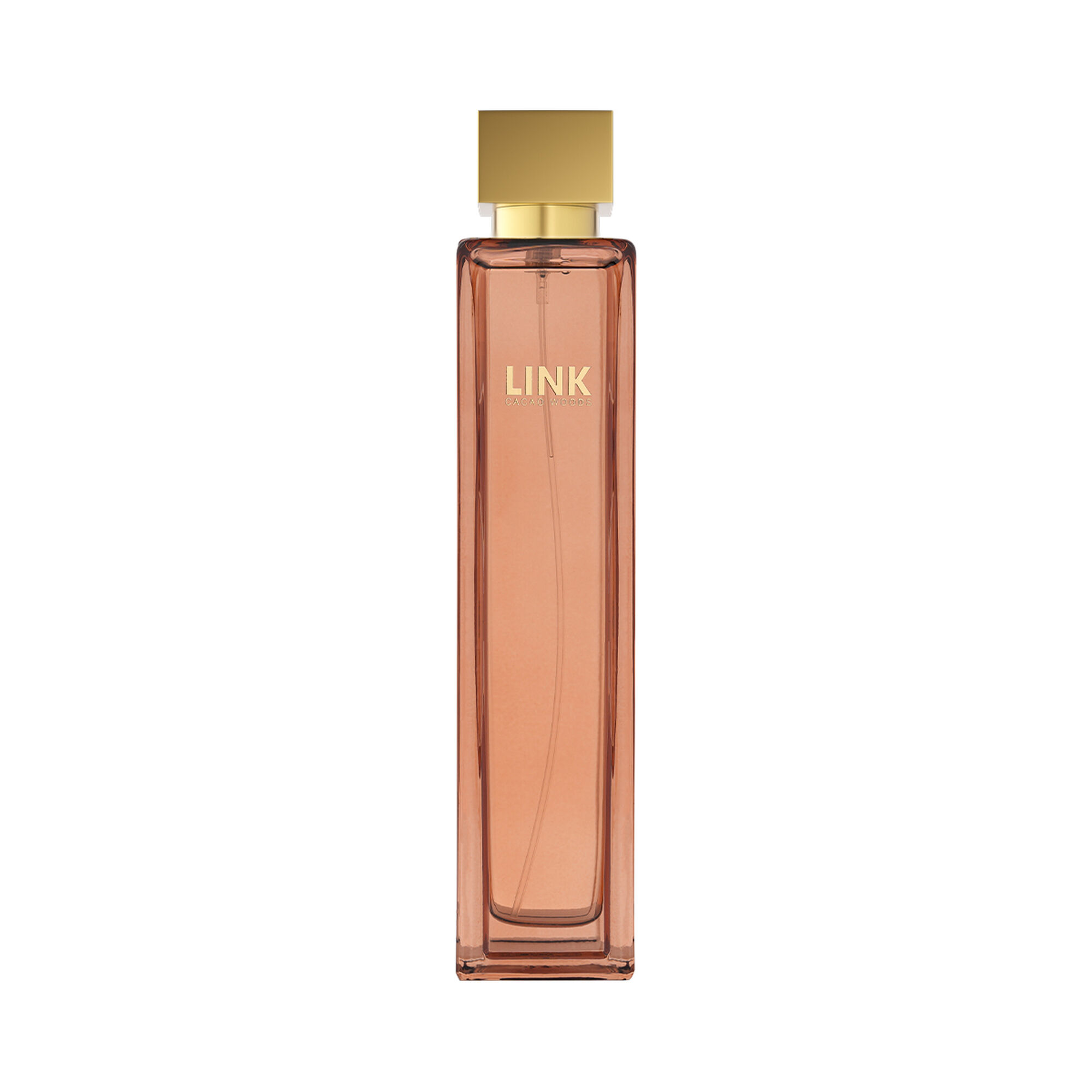 Cacao Woods Perfume by Link 100ml