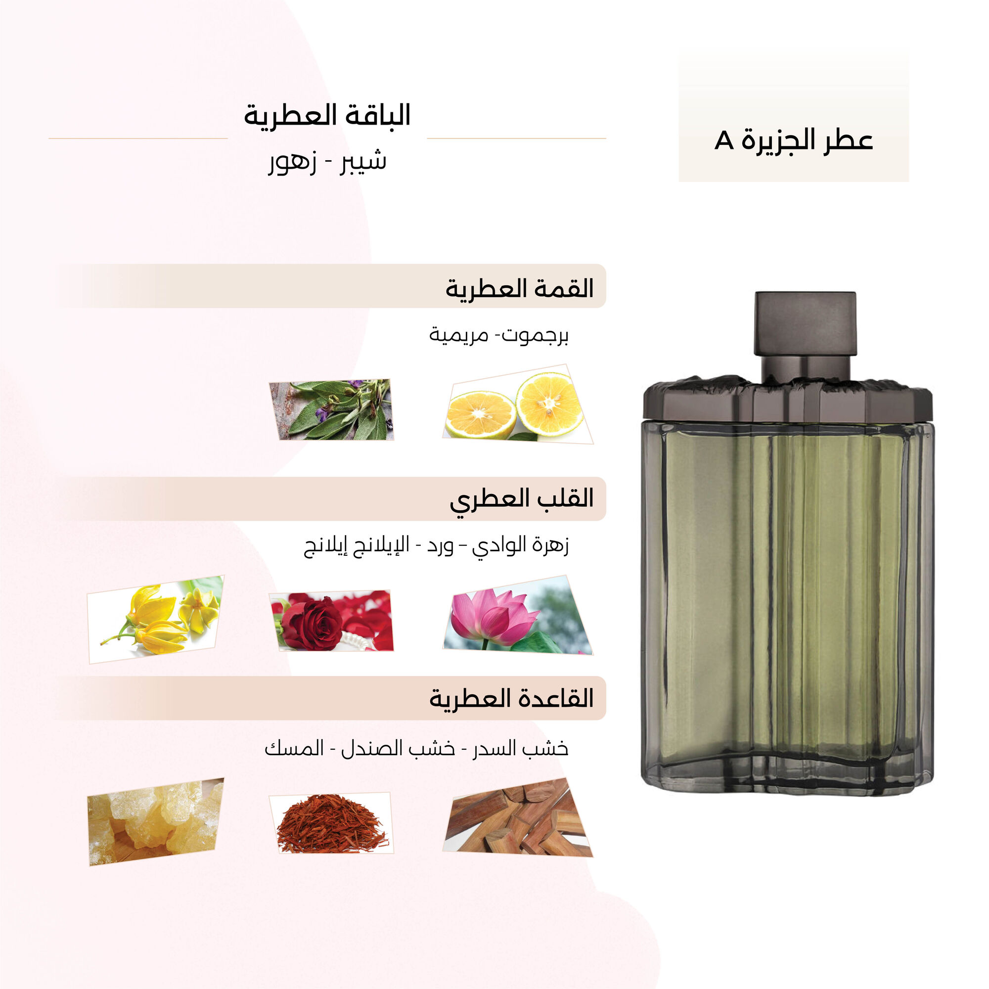 عطر الجزيرة A الرجالي من الجزيرة