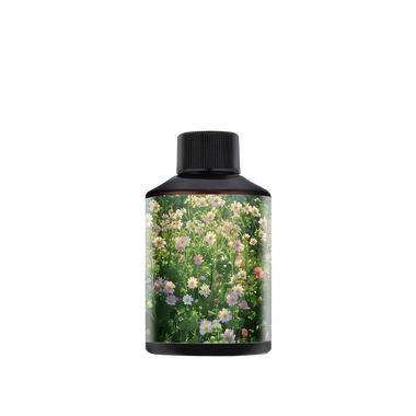 زيت فواحة HIL عبوة 50 مل