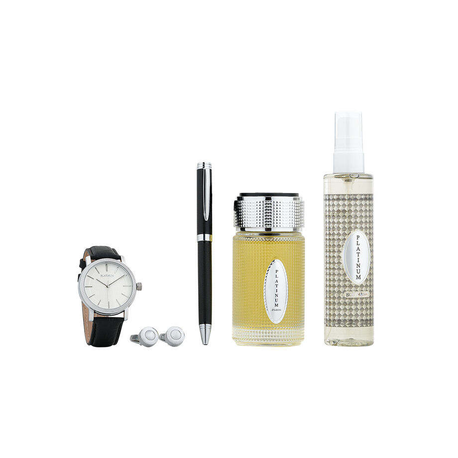 Platinum men's accessory-care set