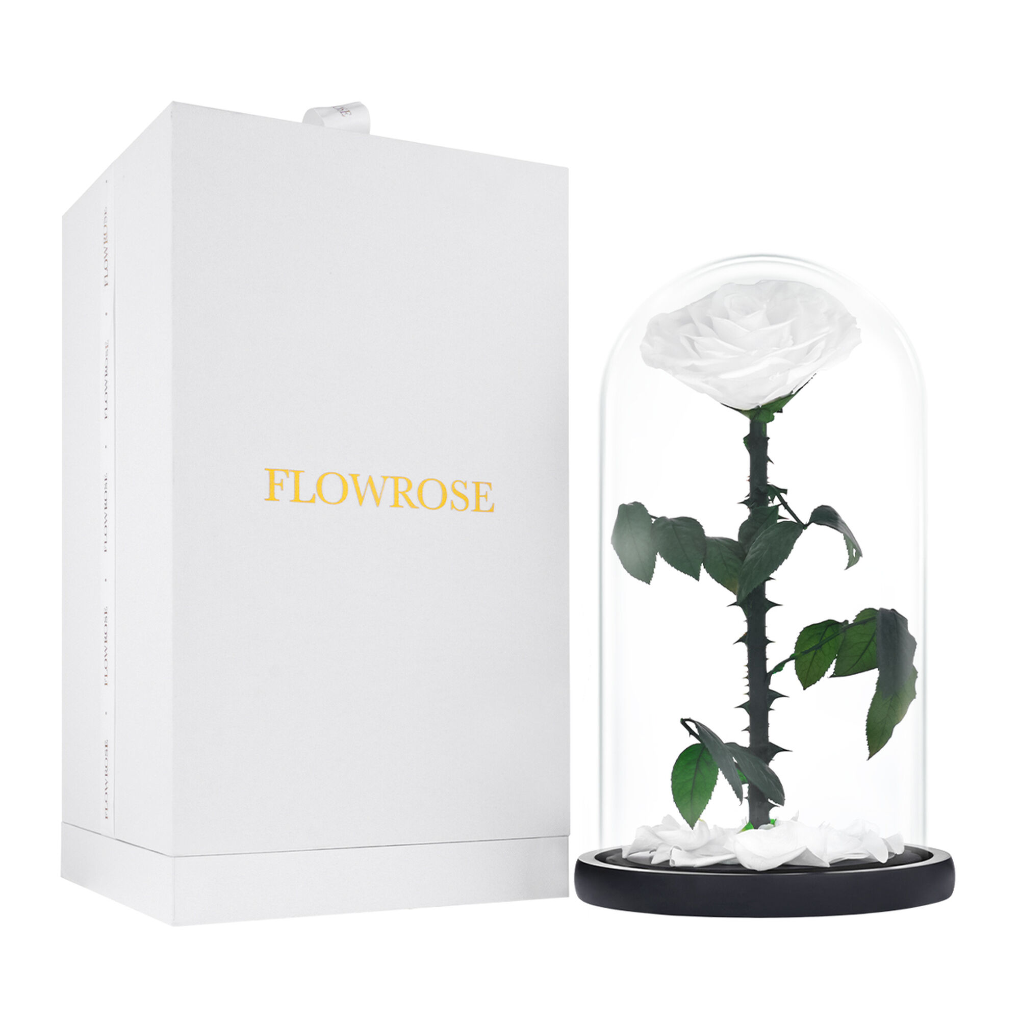 Large white everlasting natural roses