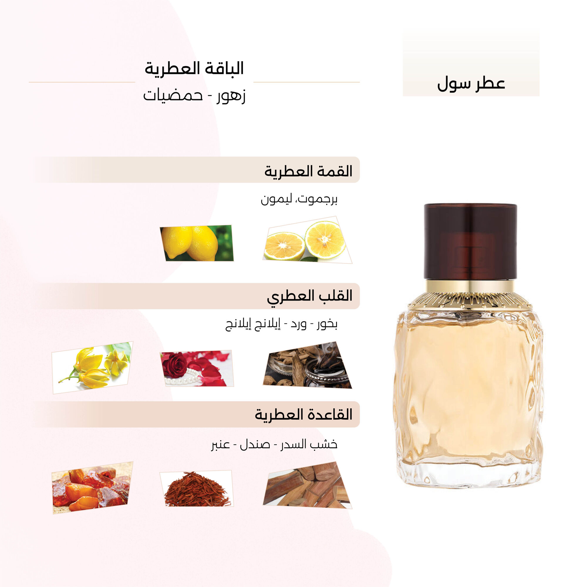 Soul Perfume by Maios 100ml