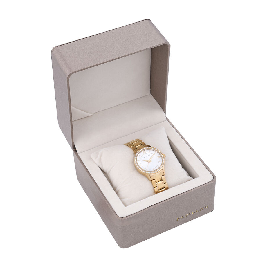 Papillon watch HZ (PL1704-D) + box