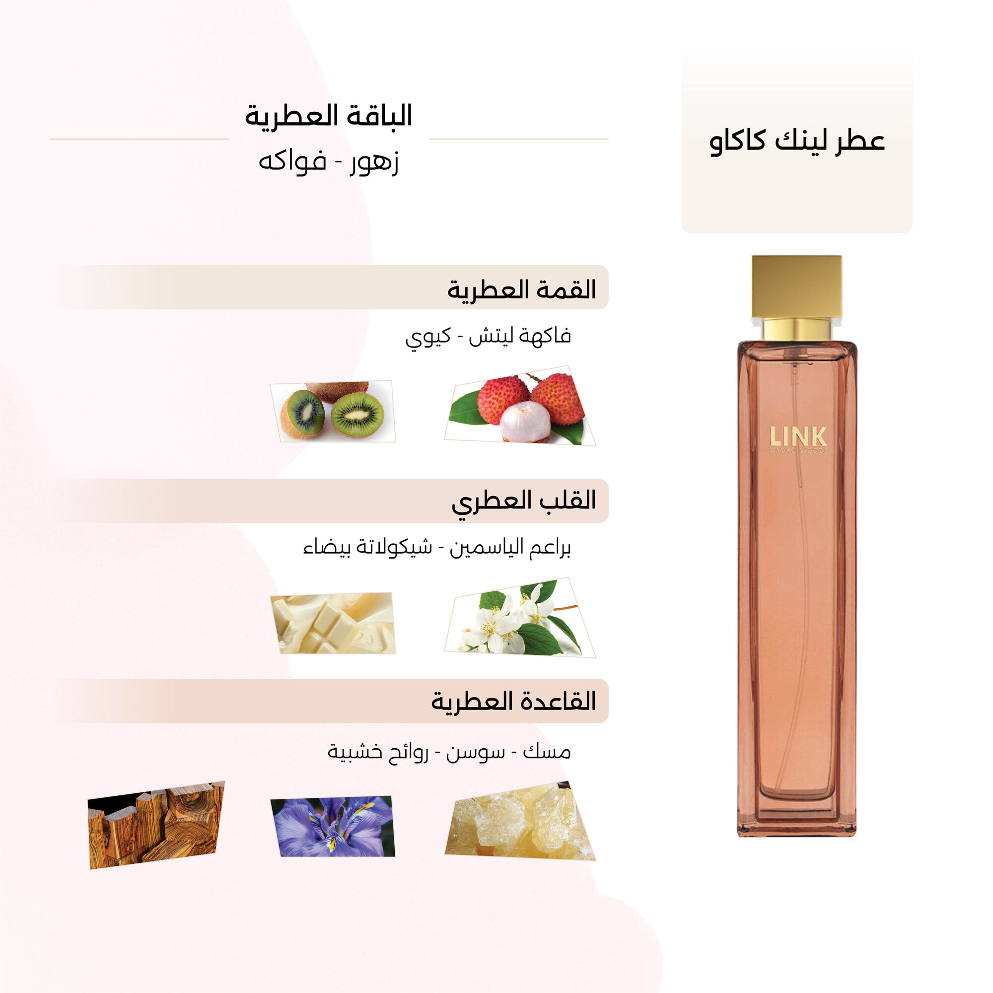 Cacao Woods Perfume by Link 100ml