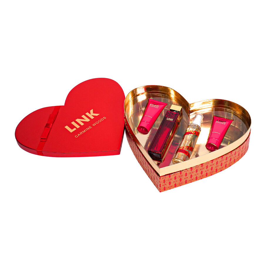 Link Carmin Kit Link Carmin Kit