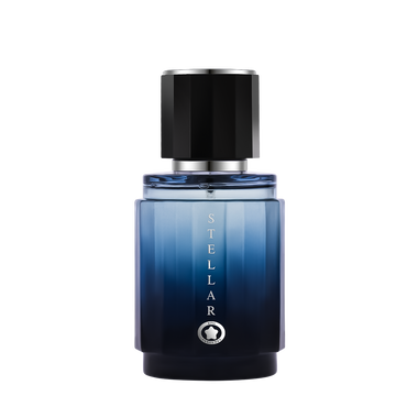 ستيلر رجالى 100 مل