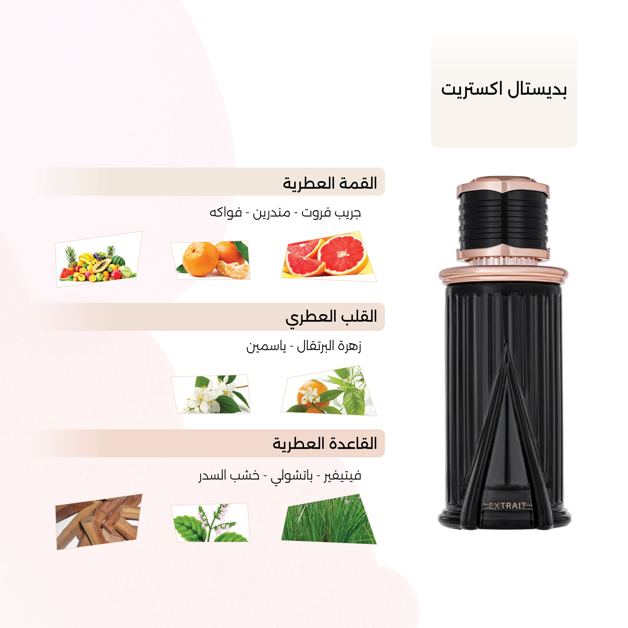 pedestal Extrait 100 ml