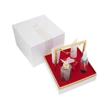 طقم بابيون Y21 عناية