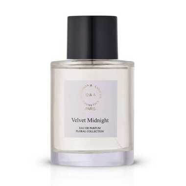 Velvet Midnight Q and A Perfume