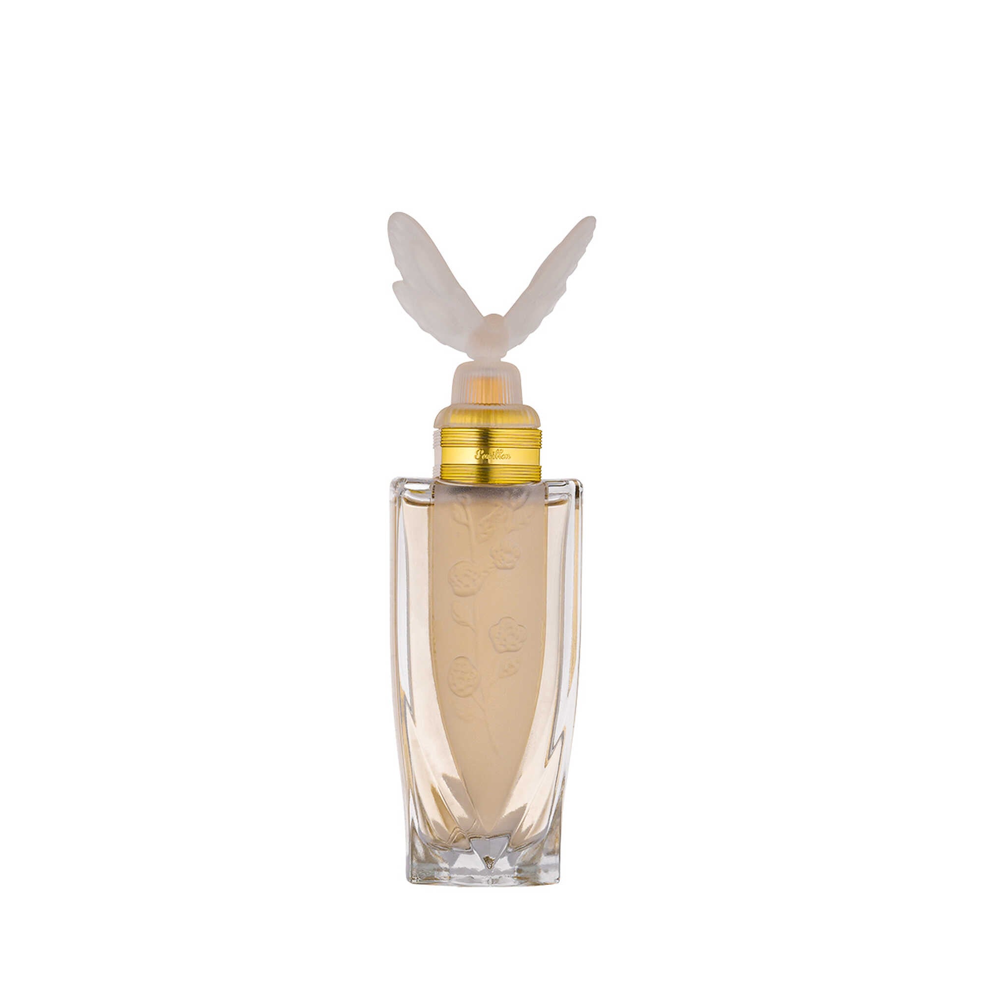 عطر بابيون النسائي من درعه