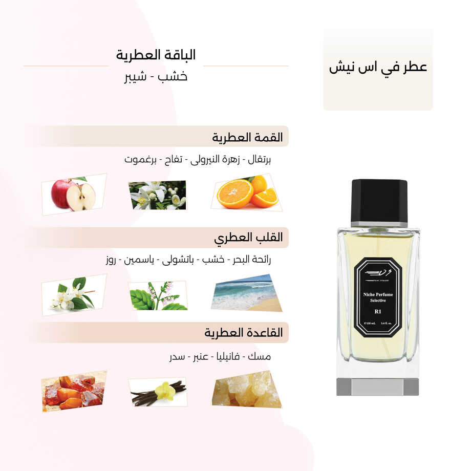 عطر في اس نيش الرجالي من في اس