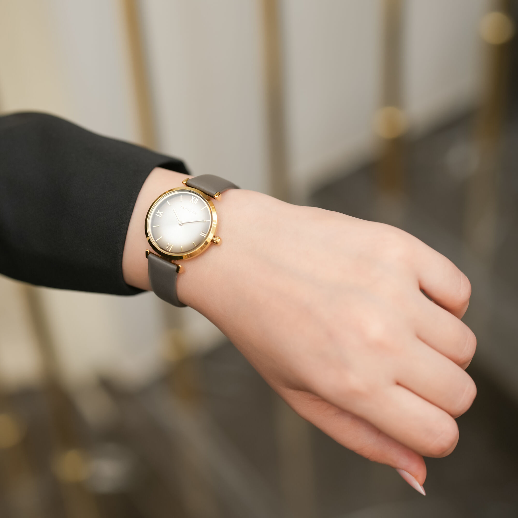 Papillon watch HK4(2210L-A+ box