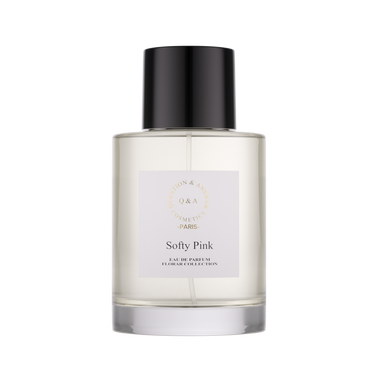 Softy Pink Q and A Perfume