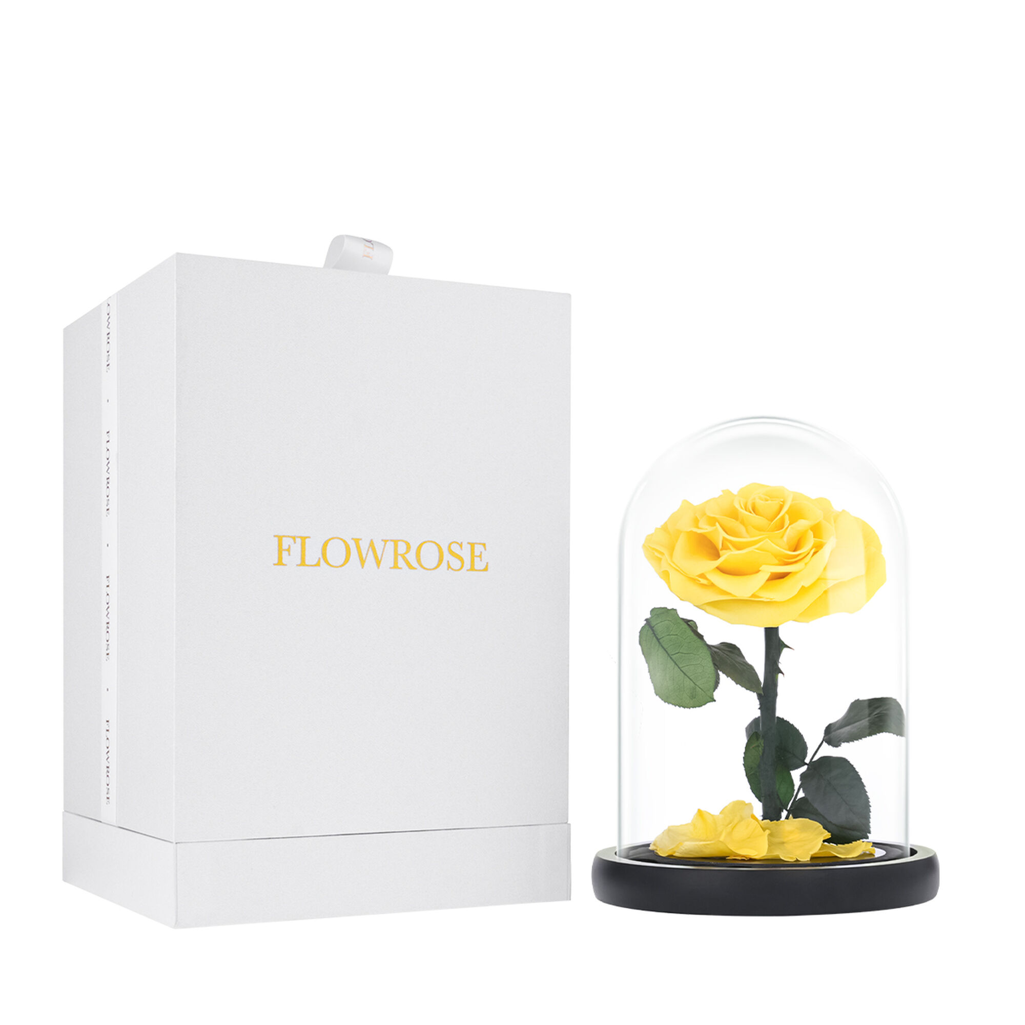 Medium yellow everlasting natural roses