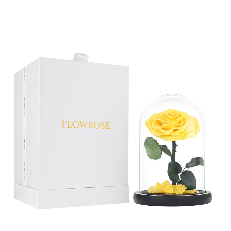 Medium yellow everlasting natural roses
