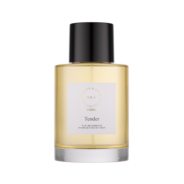 Tender Q and A Perfume