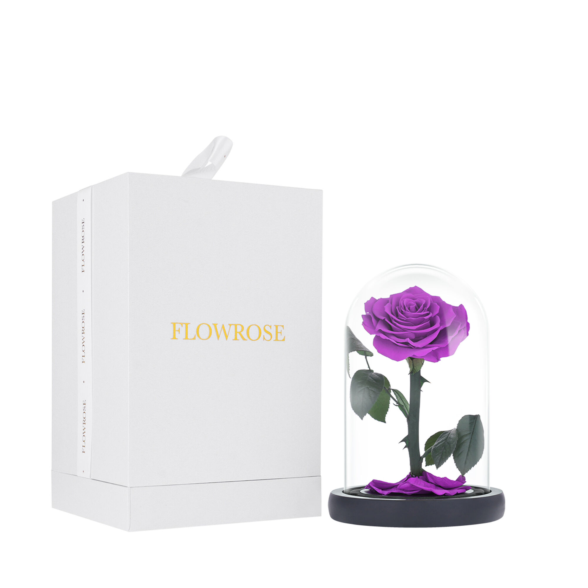 Small purple everlasting natural rose