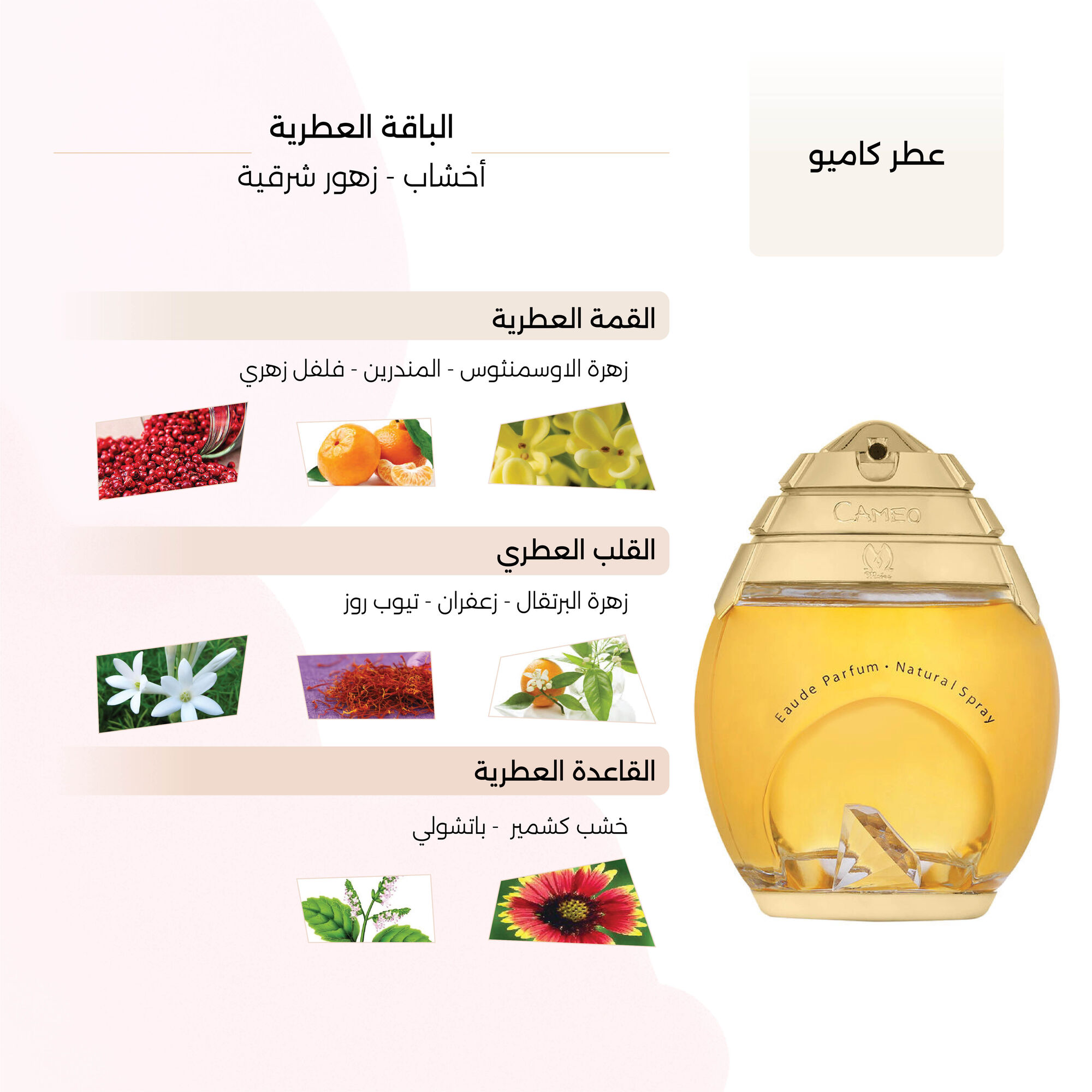 Cameo Perfume by Maios 100ml