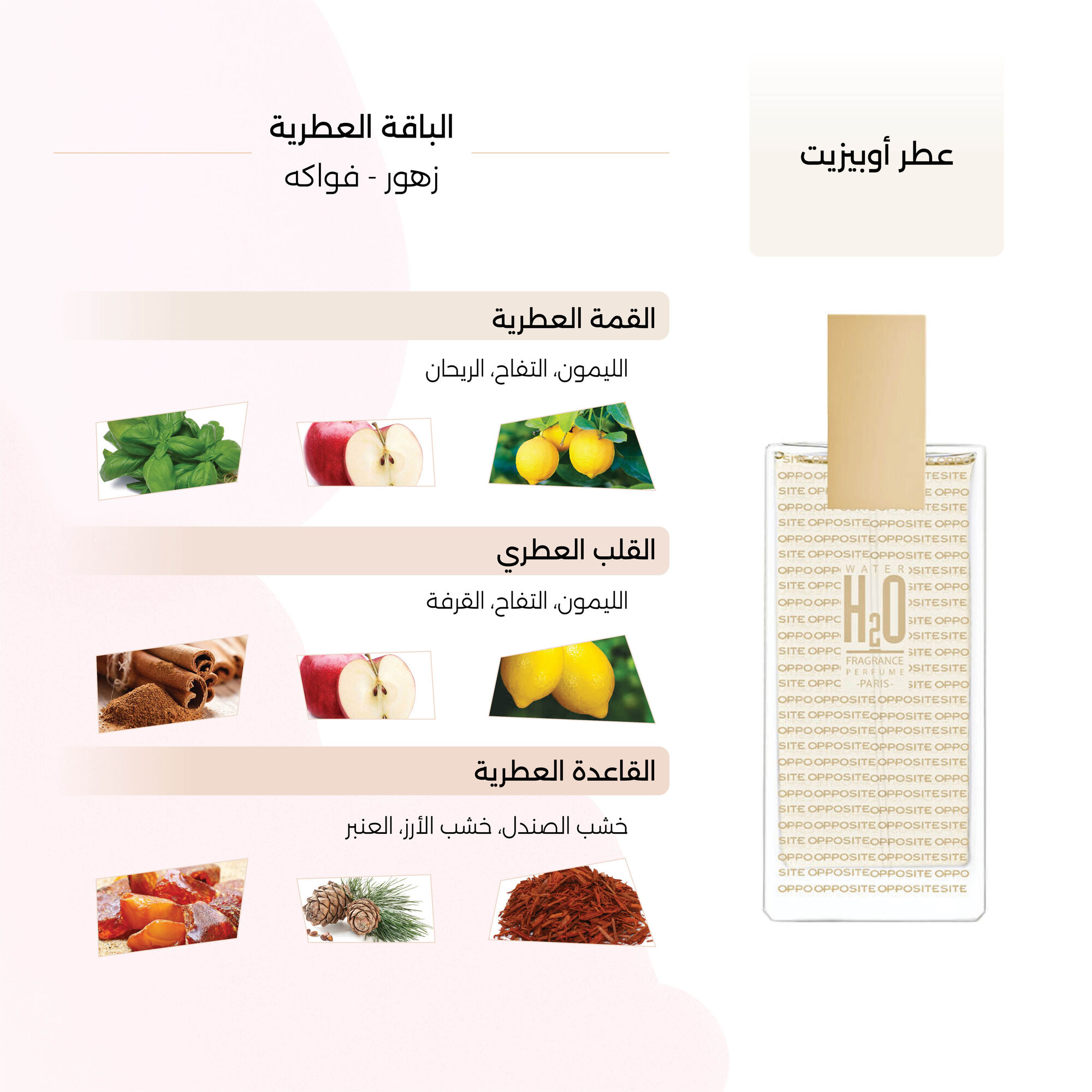 عطر أوبيزيت النسائي 50مل