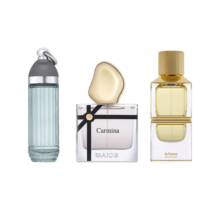 مجموعه اليوم الوطنى(4)