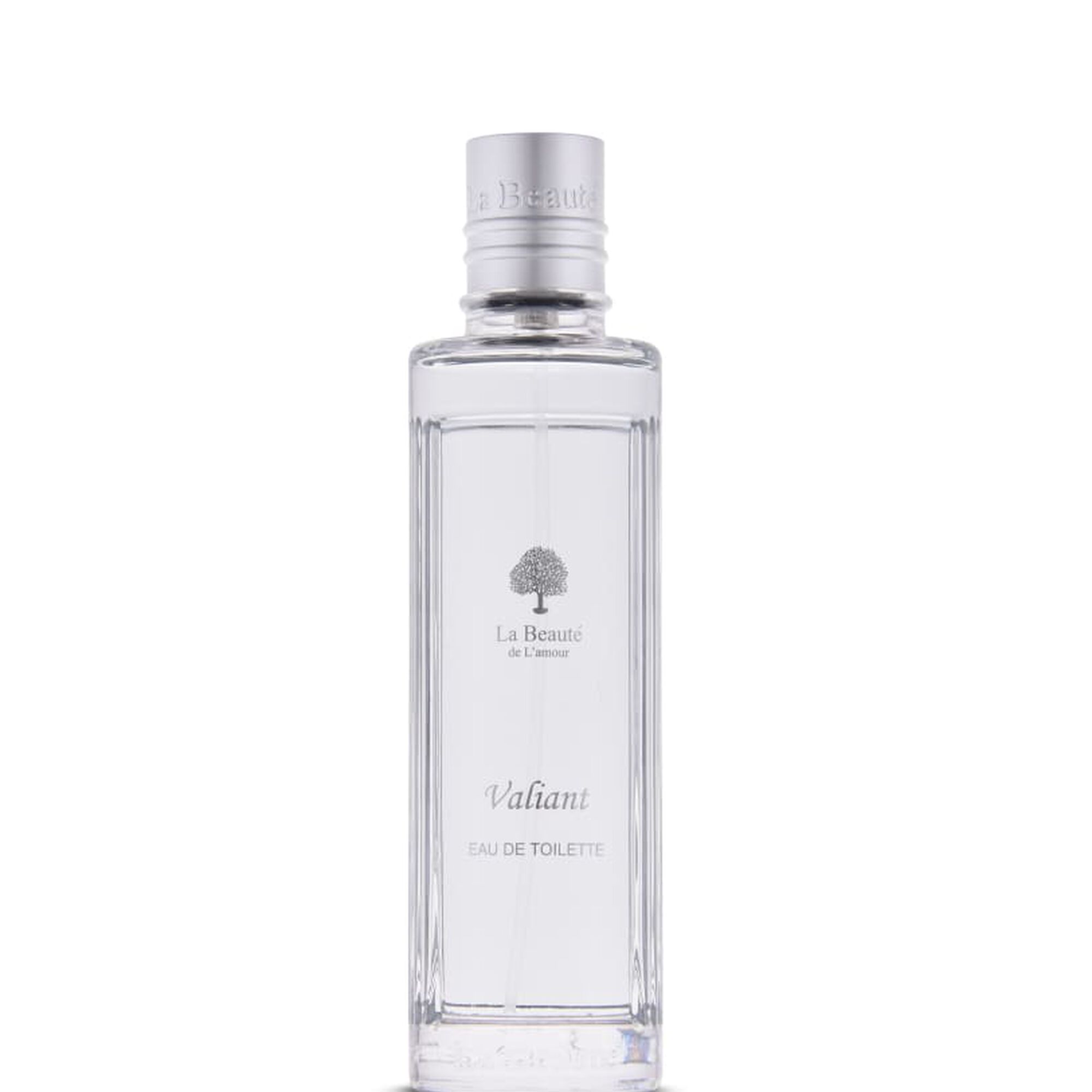 Valiant EDT 100 ml