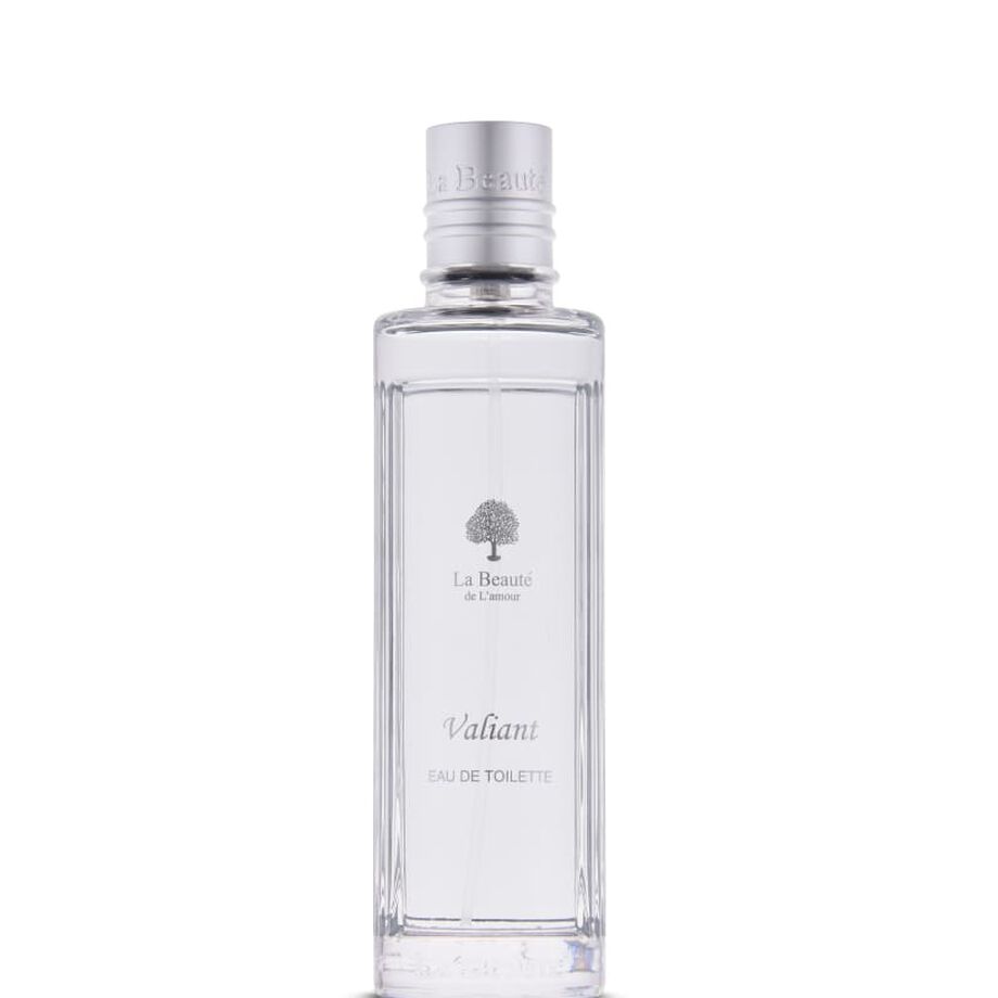 Valiant EDT 100 ml