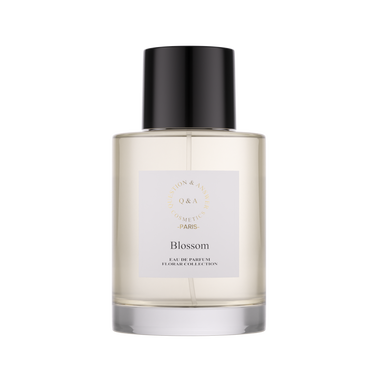 Blossom Q and A Perfume