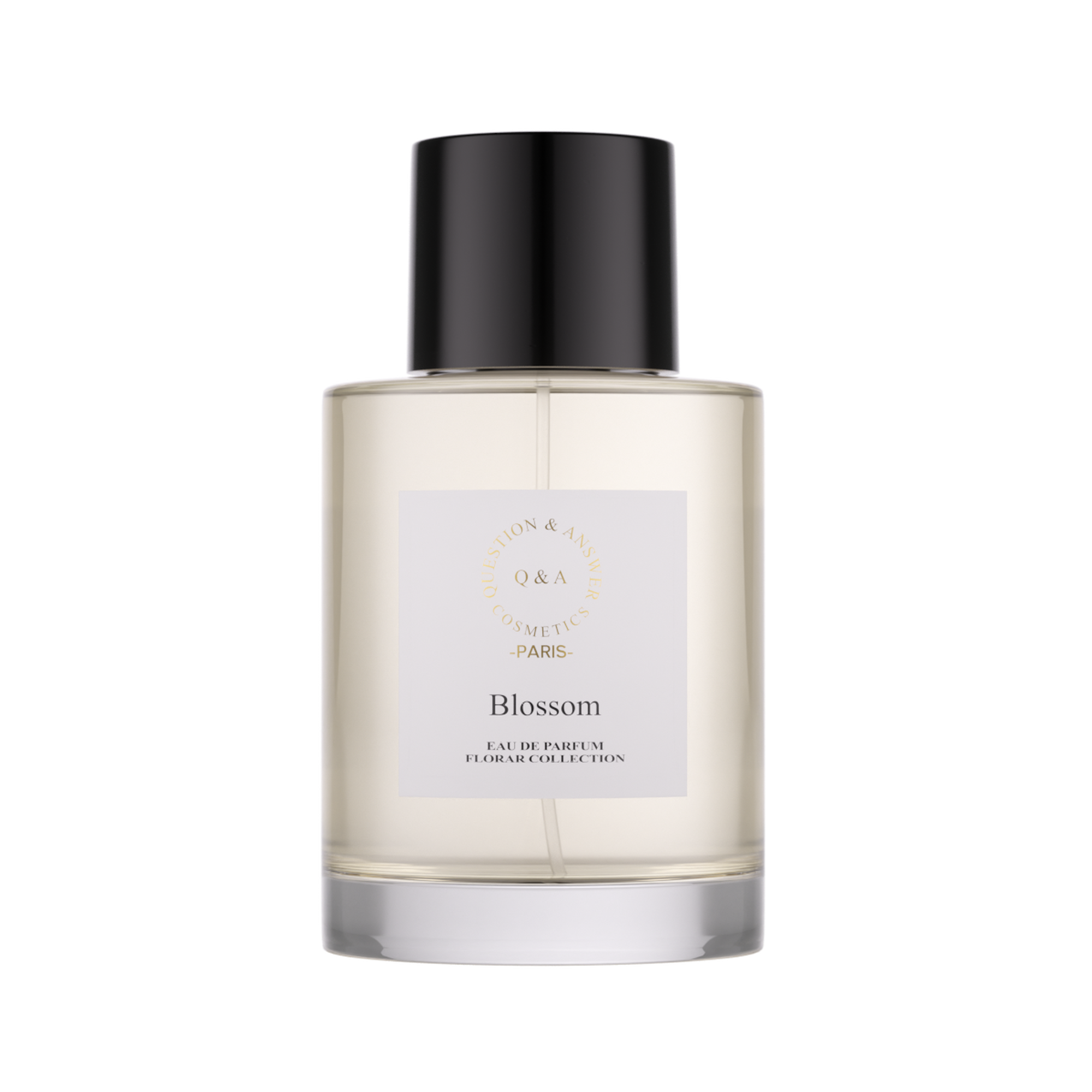 Blossom Q and A Perfume