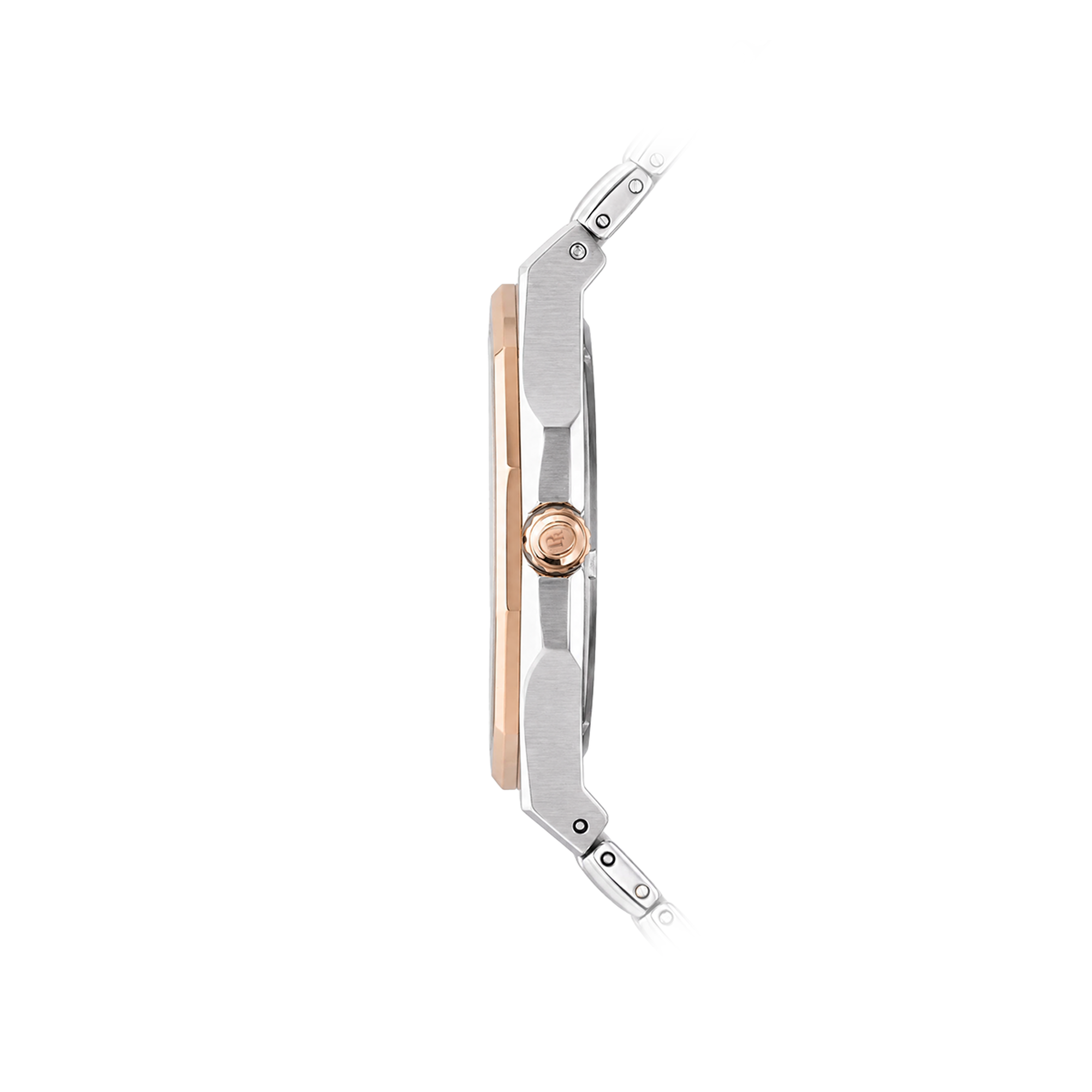 Proud Steel Watch Y24TS (22PR023S)-D-RG