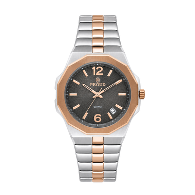 Proud Steel Watch Y24TS (22PR023S)-D-RG