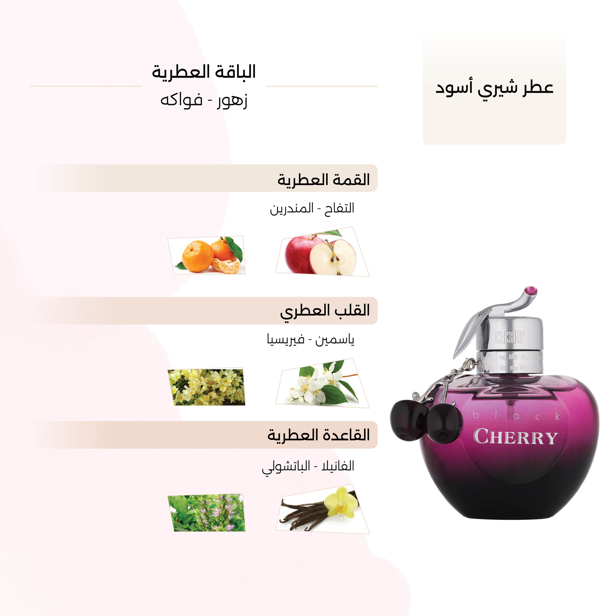 Black Cherry Perfume by Burma 80ml