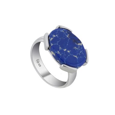 Proud silver ring RA8244-JS-1-23 + box