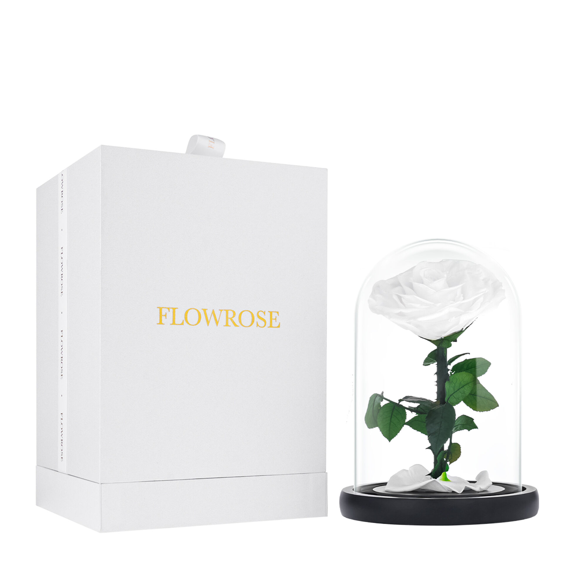 Medium white everlasting natural roses
