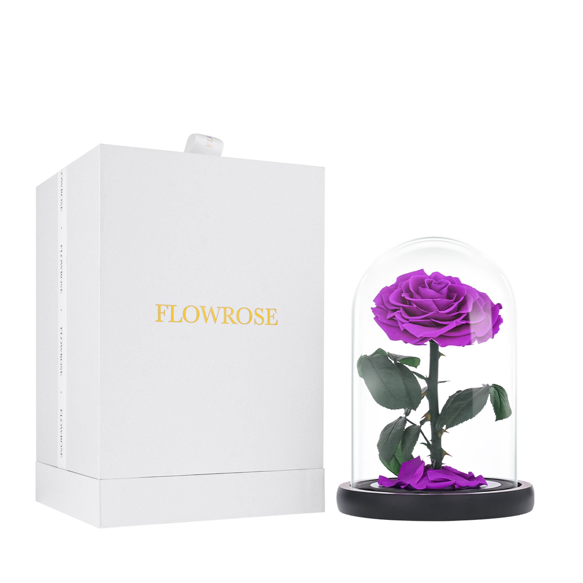 Medium purple everlasting natural roses