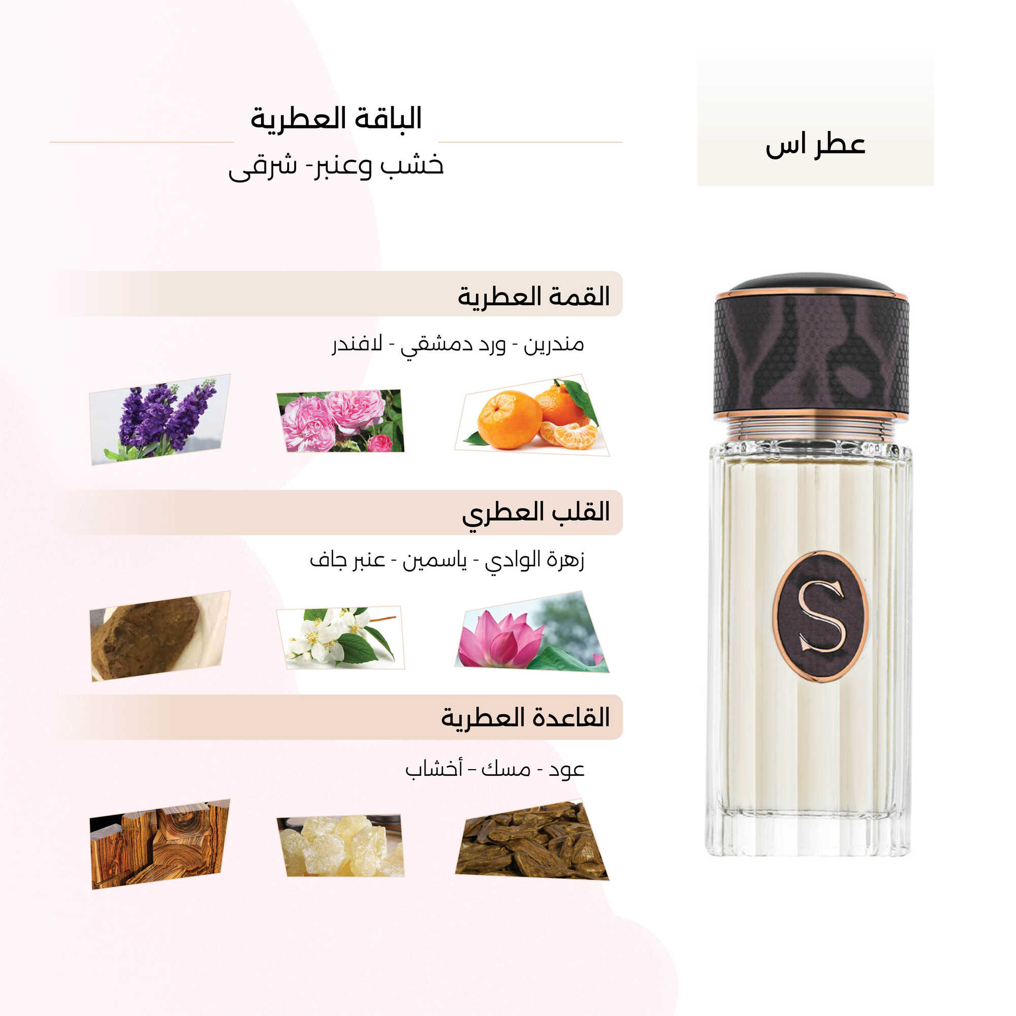عطر اس الرجالي من في اس 100 مل