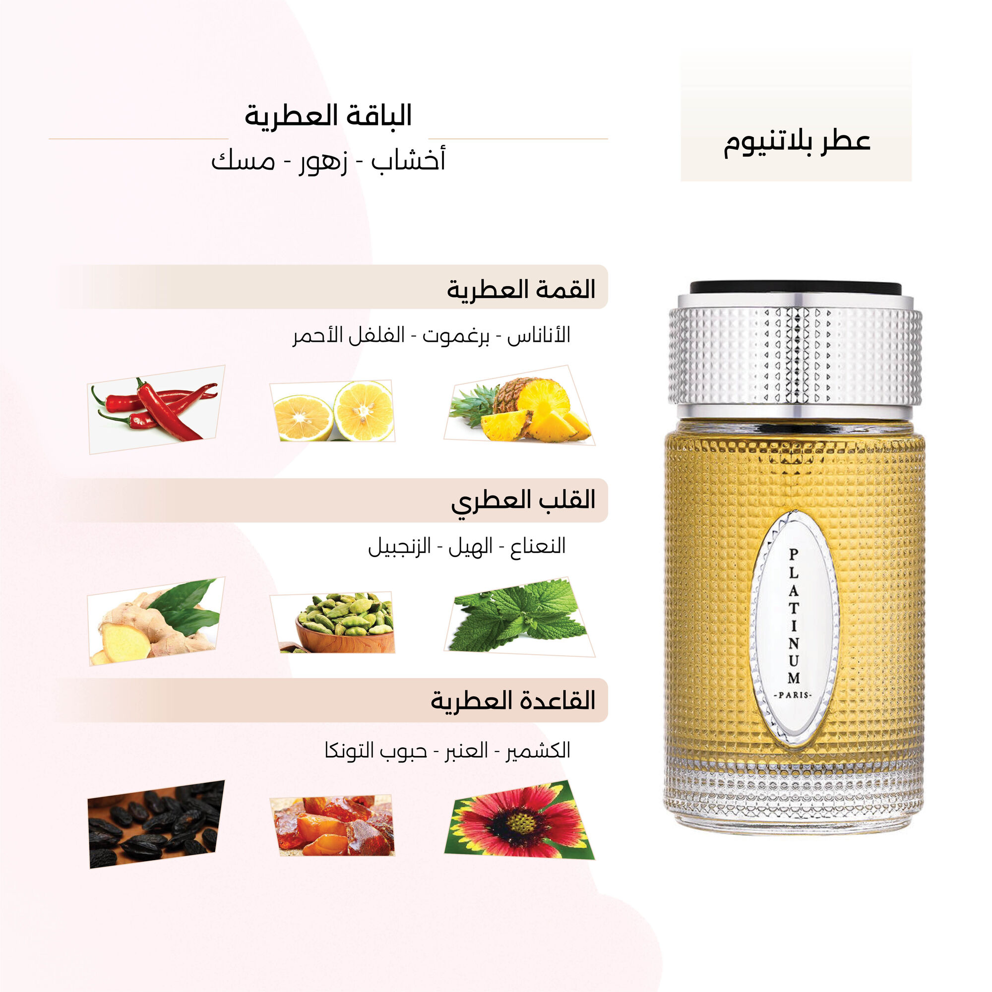 Platinum  Perfume for Men by Gingle