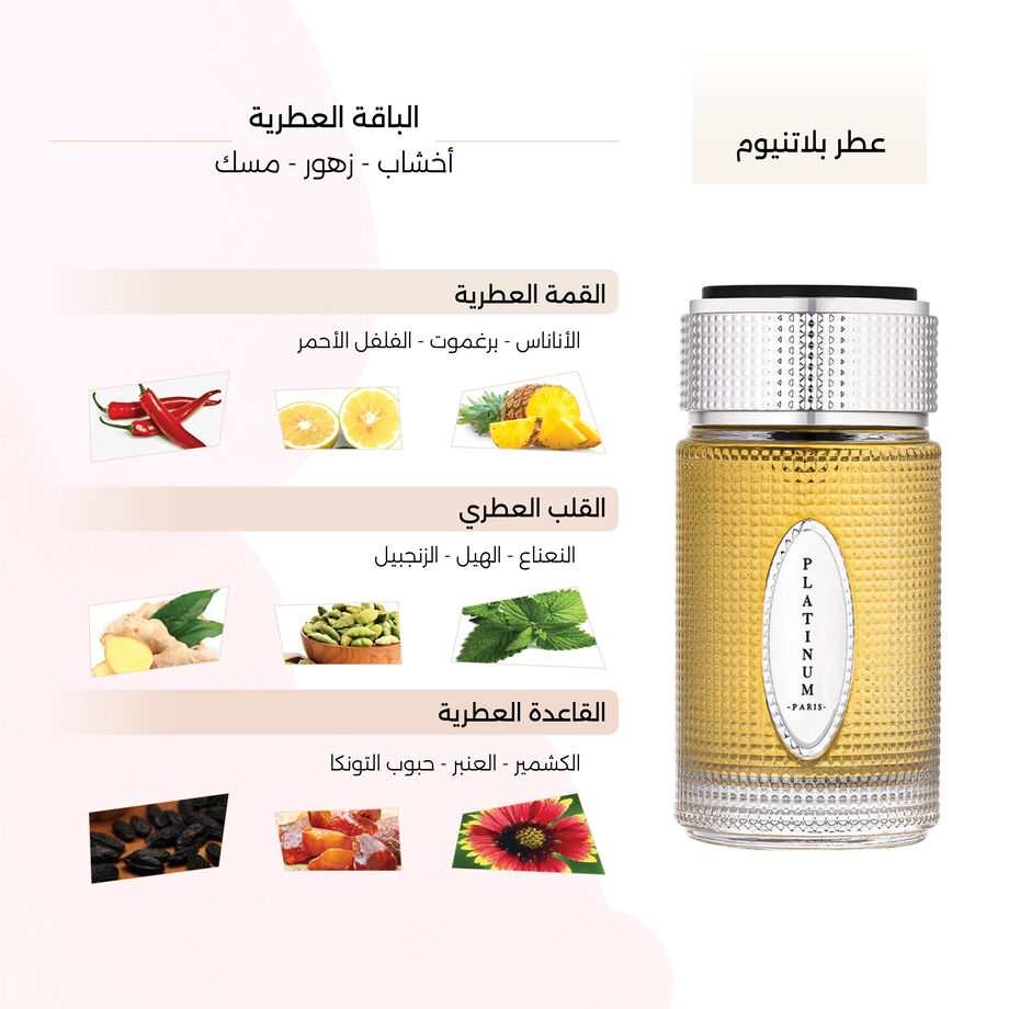 Platinum  Perfume for Men by Gingle