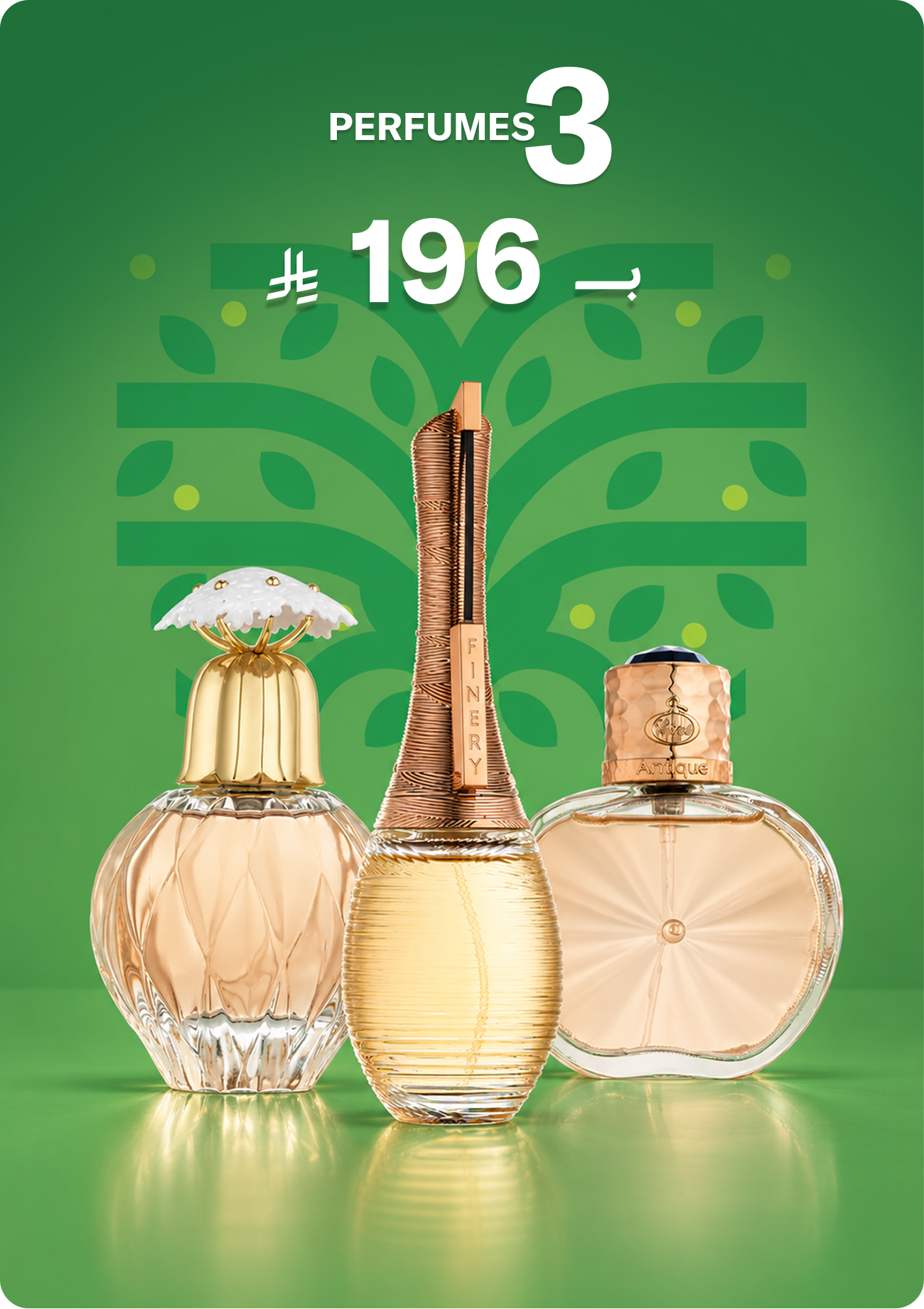 3 Products for 196SAR