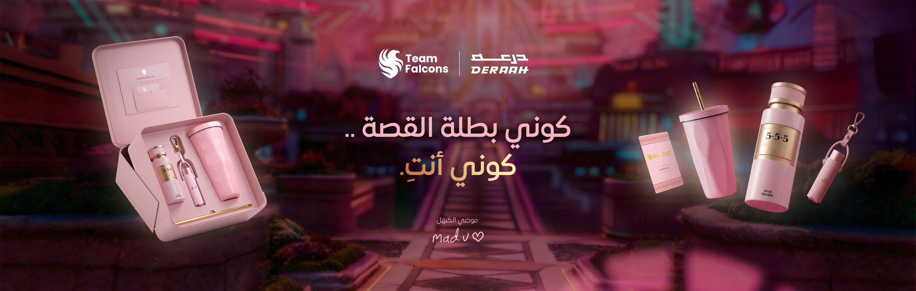 falcon copy.jpg.jpeg